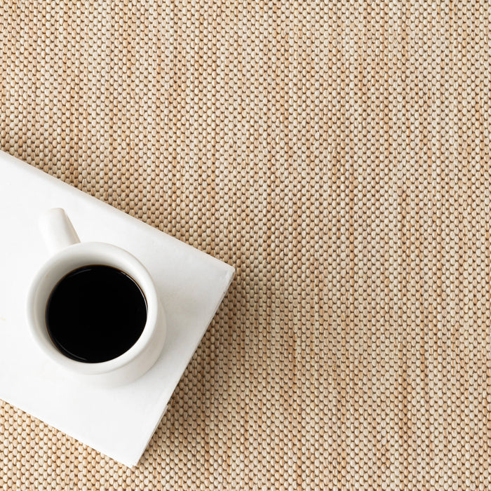 Tan Striped Border Indoor Outdoor Flatweave Area Rug 150x240 cm