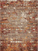 Terra Nova Brick Rug