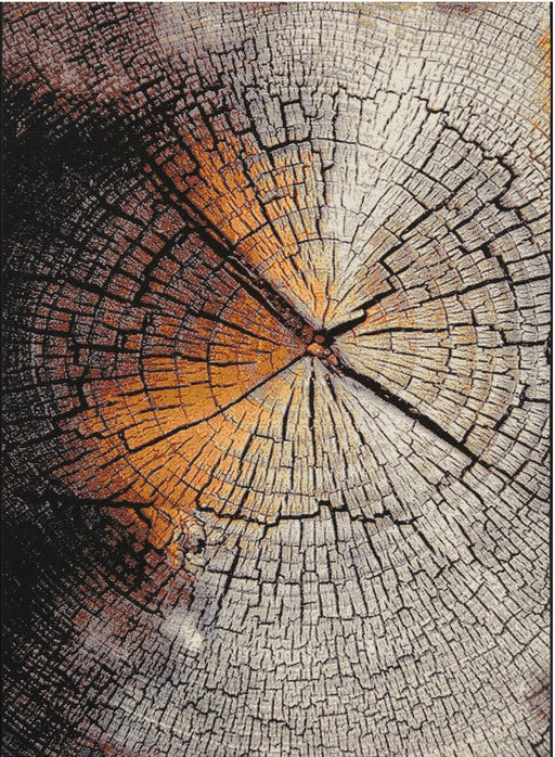 Terra Nova Wood Rug