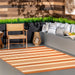 Terracotta Striped Indoor Outdoor Area Rug 120x180 cm