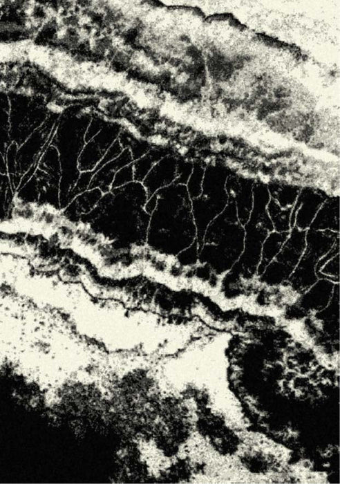 Tiago 463.23.AF100 Rug