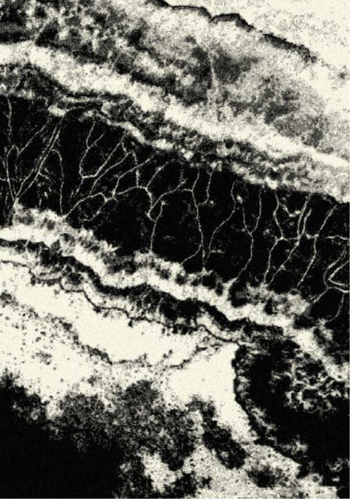 Tiago 463.23.AF100 Rug