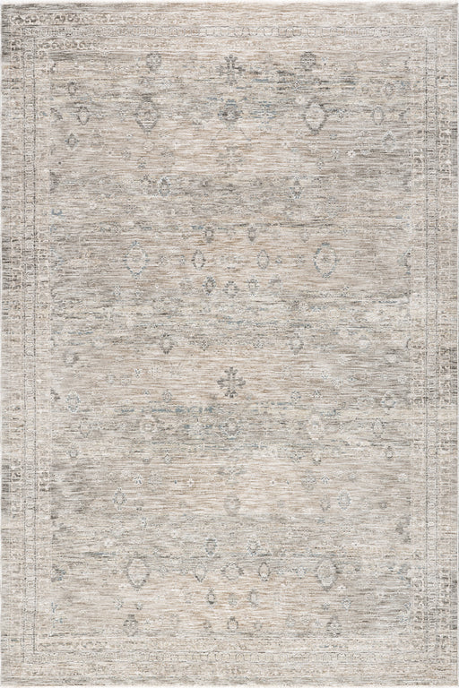 Vintage Beige Area Rug for Home Decor