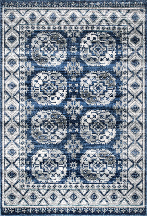 Vintage Blue Area Rug for Living Room