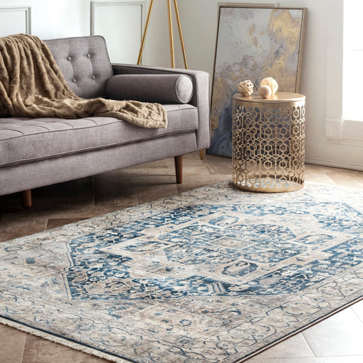 Vintage Grey Area Rug for Home Decor