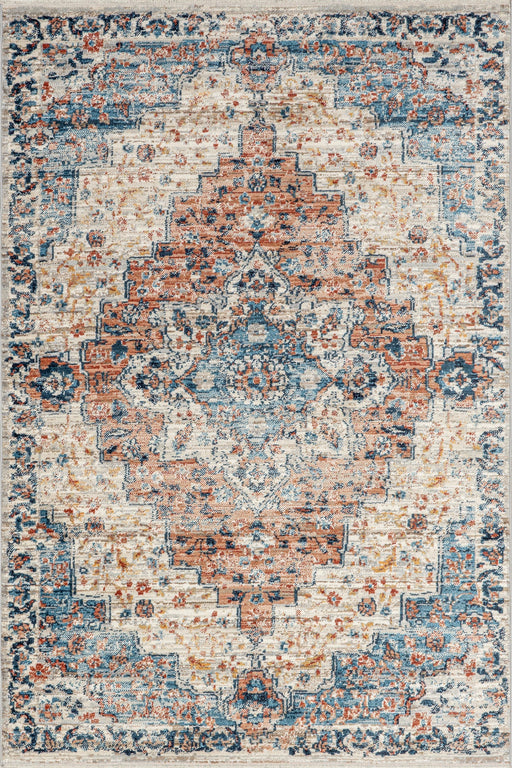 Vintage Medallion Area Rug in Rust for Traditional Decor
