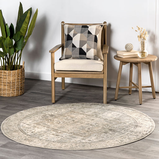 Vintage Neutral Area Rug for Home Décor