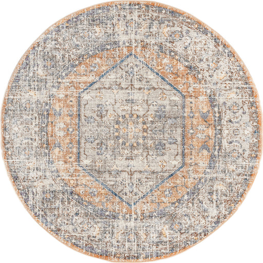 Vintage Peach Area Rug for Home Decor