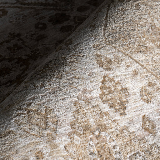 Vintage Taupe Area Rug for Home Décor