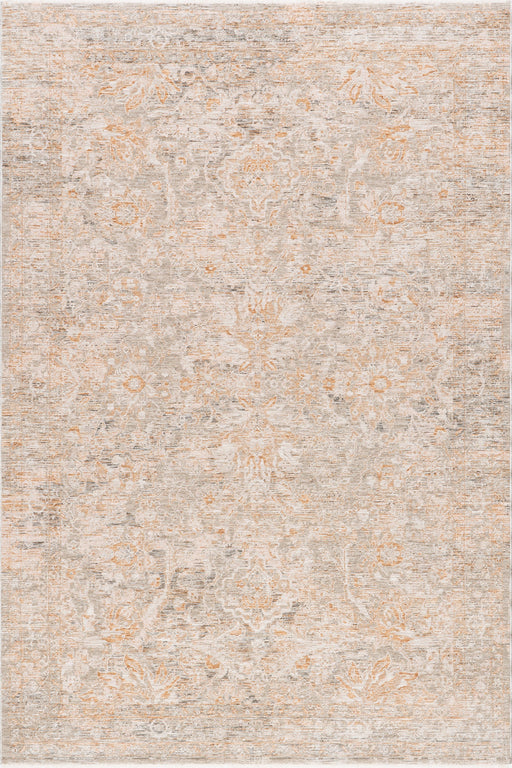 Vintage Taupe Area Rug for Home Décor