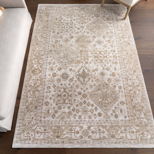 Vintage Taupe Area Rug for Home Décor