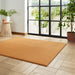 Washable Bay Modern Plain Sleek Low Profile Smooth Textured Super-Soft Polyester Shaggy Camel Rug