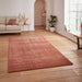 Washable Cove Sleek Low Pile Texture Soft Plain Polyproplene Shaggy Terracotta Rug