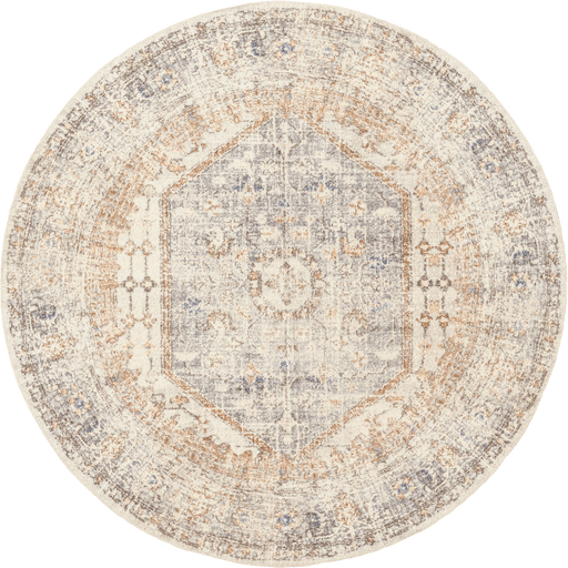 Washable Light Grey Medallion Rug for Home Use