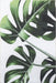 Washable Monstera Leaf Indoor Outdoor Rug 140x200 cm Green