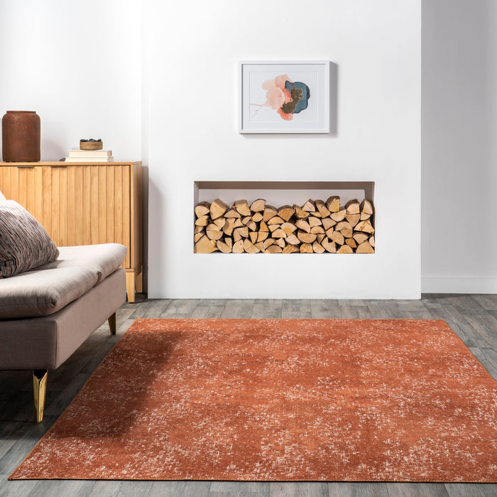 Washable Orange Area Rug for Homes with Kids and Pets