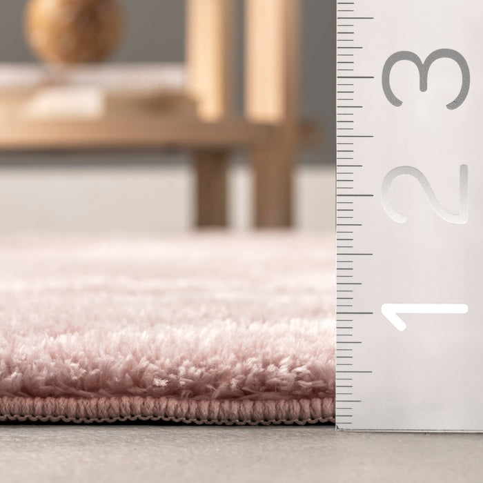 Washable Pink Shag Area Rug for Home Décor