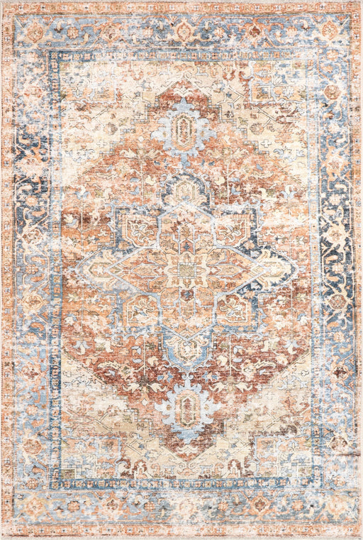 Washable Vintage Area Rug in Rust for Home Decor