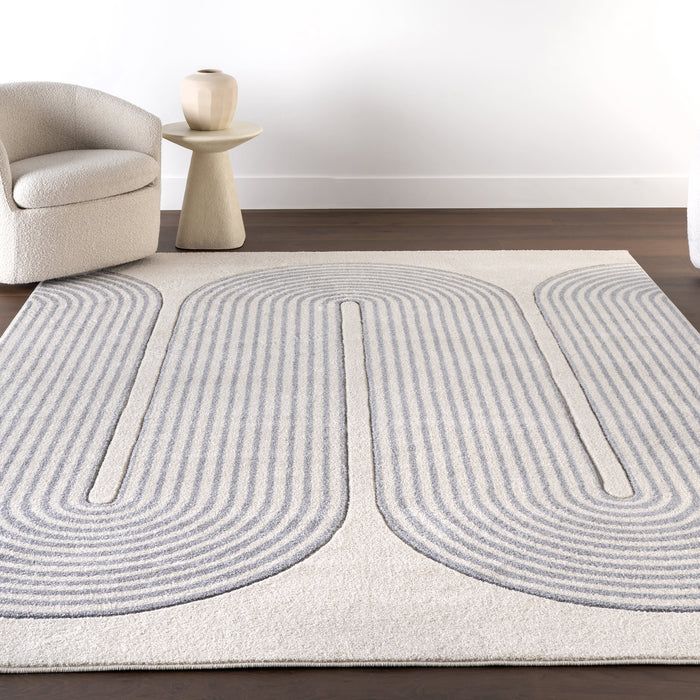 Winding River Grey Area Rug for Home Décor