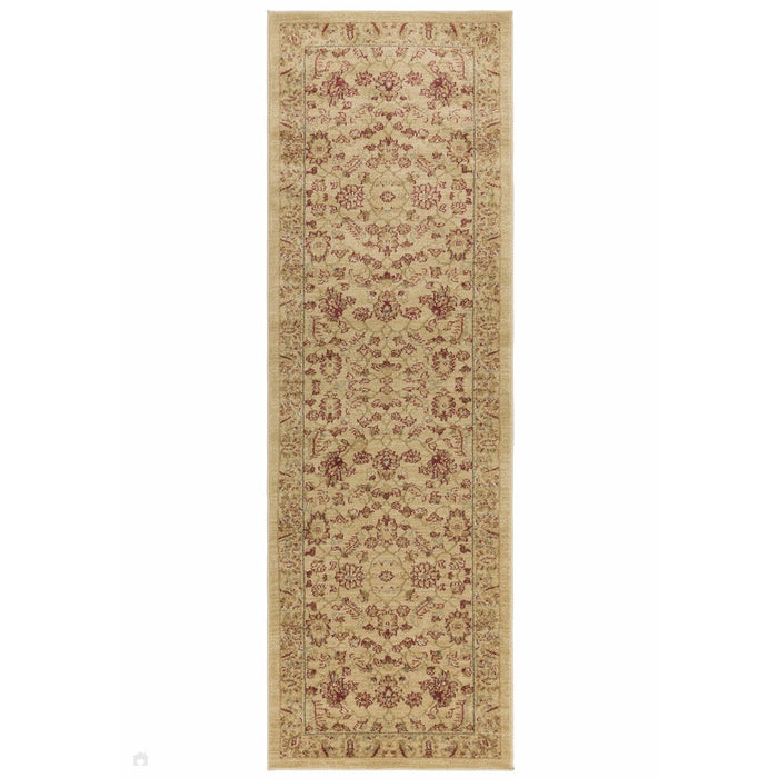 Windsor WIN04 Traditional Classic Floral Vine Bordered Beige/Natural/Multi Rug