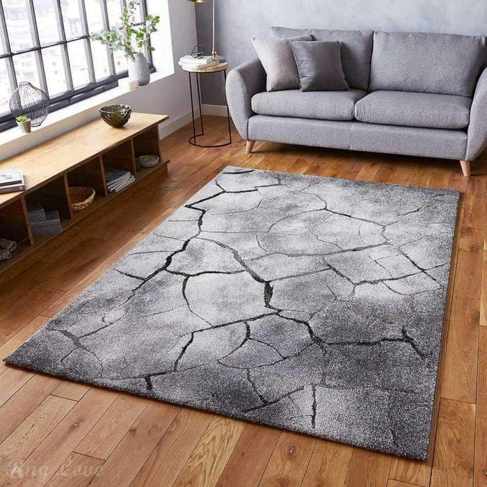 Woodland 21007 Modern Abstract Cracked Wood Grey Rug