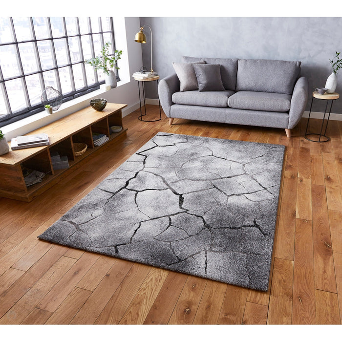 Woodland 21007 Modern Abstract Cracked Wood Grey Rug