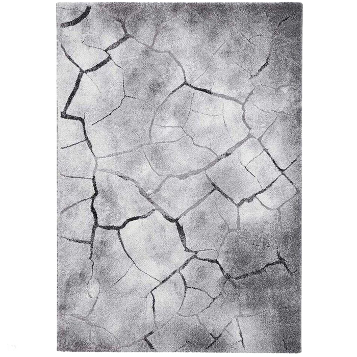 Woodland 21007 Modern Abstract Cracked Wood Grey Rug