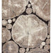 Woodland 6318 Modern Abstract Tree Trunk Beige/Black Rug