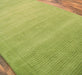 York Green Runner Rug