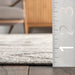 Ziomara Machine Washable Grey Area Rug